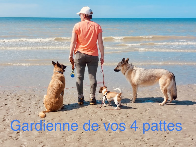 gardienne de vos 4 pattes — dogsitter à Dunkerque