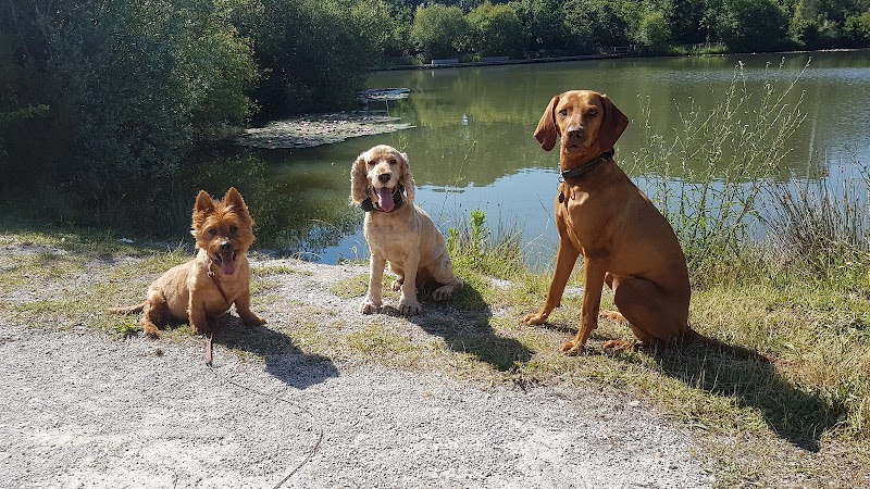 gardopoils — dogsitter à Bordeaux