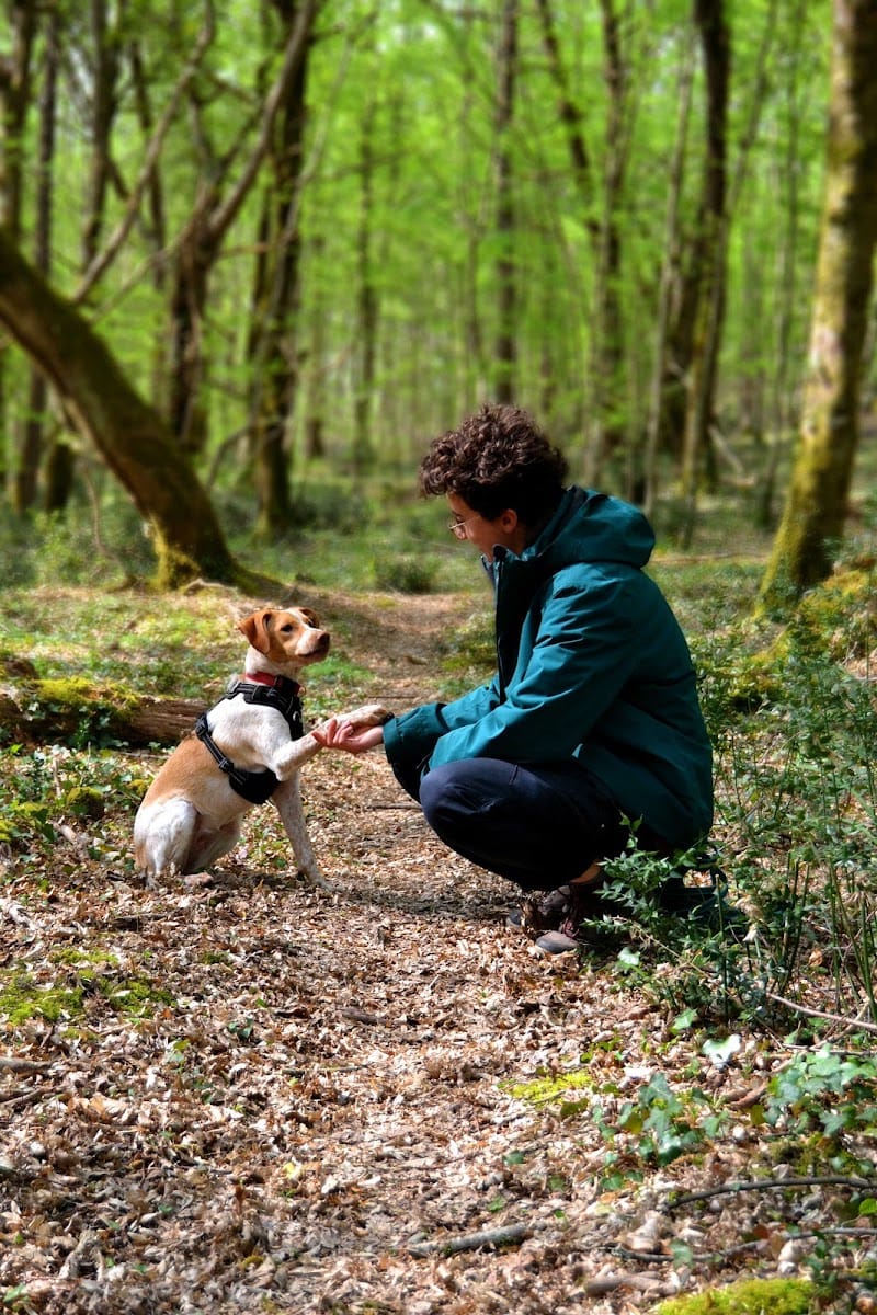 Happy Canin — dogsitter à Bordeaux