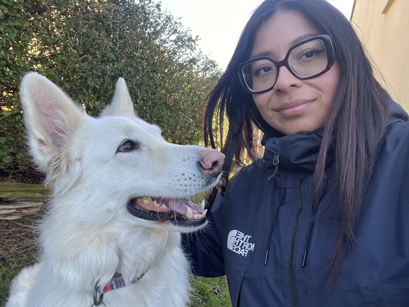 Hélène et Compagnie — dogsitter à Calais