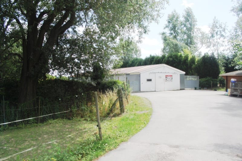 HOLIDAY'S DOG - Gosse Sébastien — dogsitter à Valenciennes