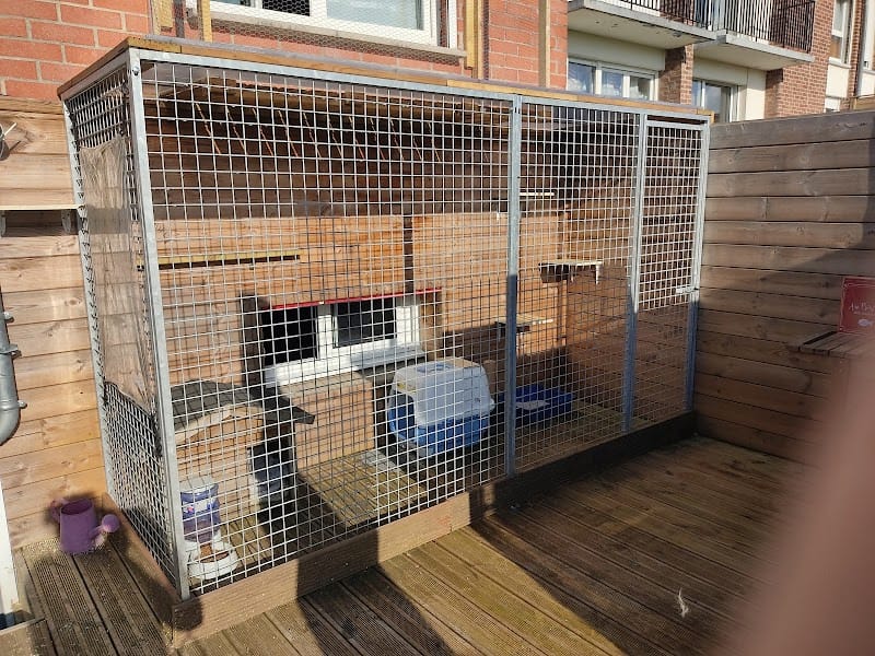 Holisticat — dogsitter à Lille