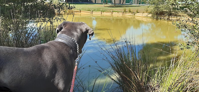 Hostellerie canine de plein air — dogsitter à Chemillé-en-Anjou