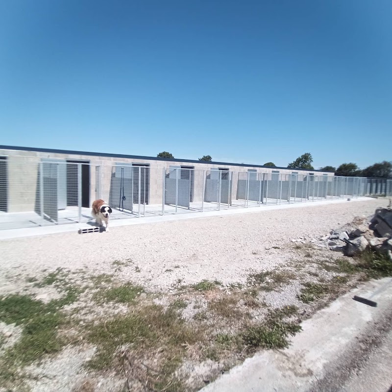 Itakueil Pension canine & féline — dogsitter à Sèvremoine