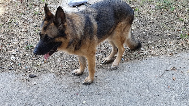 Jardin Joseph Pisano — dogsitter à Nice