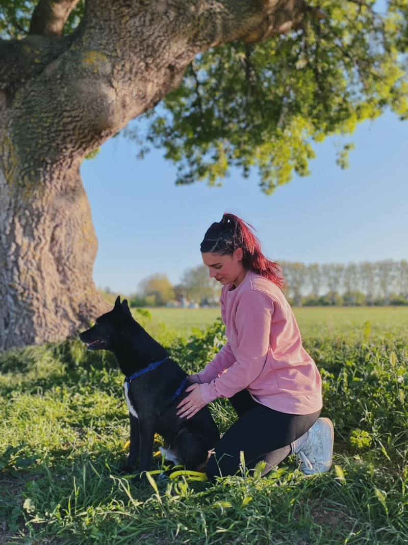 Kālù Bien-Être - Petsitter - Massage Canin — dogsitter à Agde