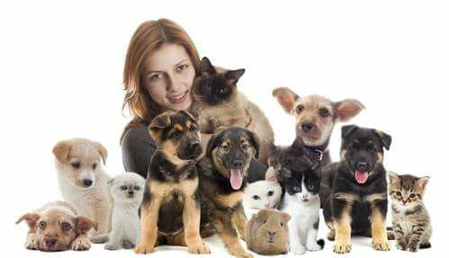 L'auberge animalière de Laetitia à Narbonne — dogsitter à Narbonne