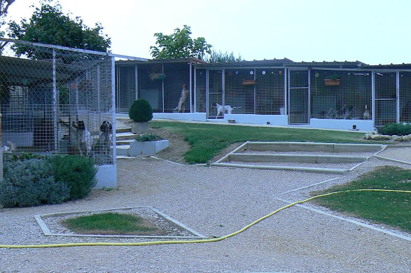 L'enclos des jonquilles — dogsitter à Saint-Sulpice-la-Pointe