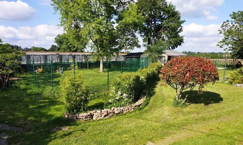 L'UniVair des chiens — dogsitter à Mauges-sur-Loire