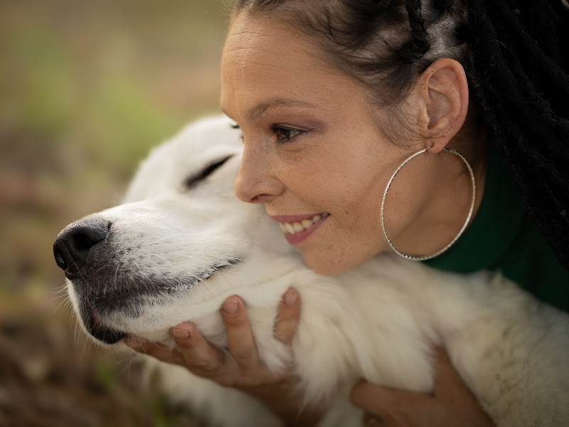 La Colo Câlins — dogsitter à Nice