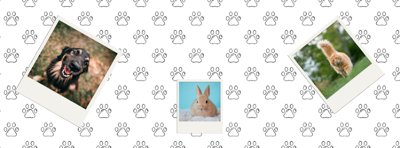 La crèche des Poilus — dogsitter à Narbonne