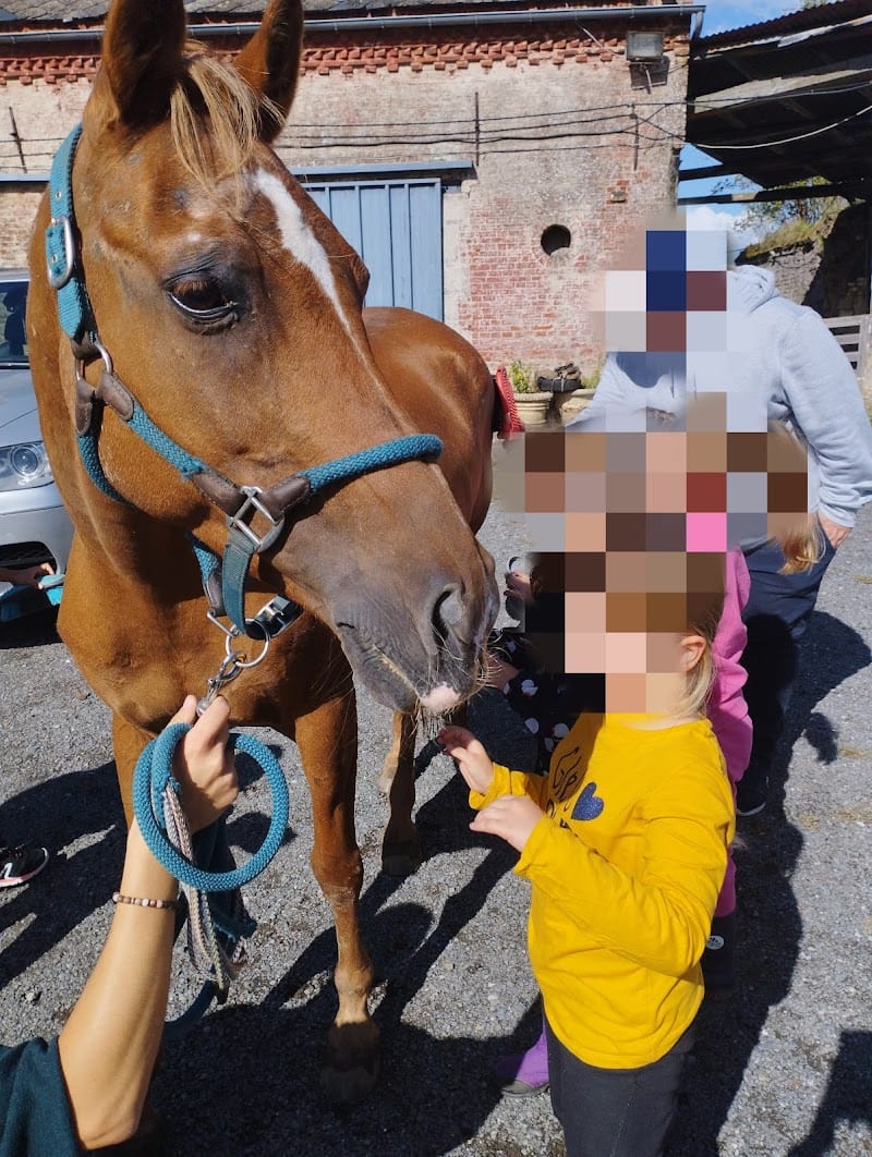 La Ferme d'Ourania — dogsitter à Cambrai