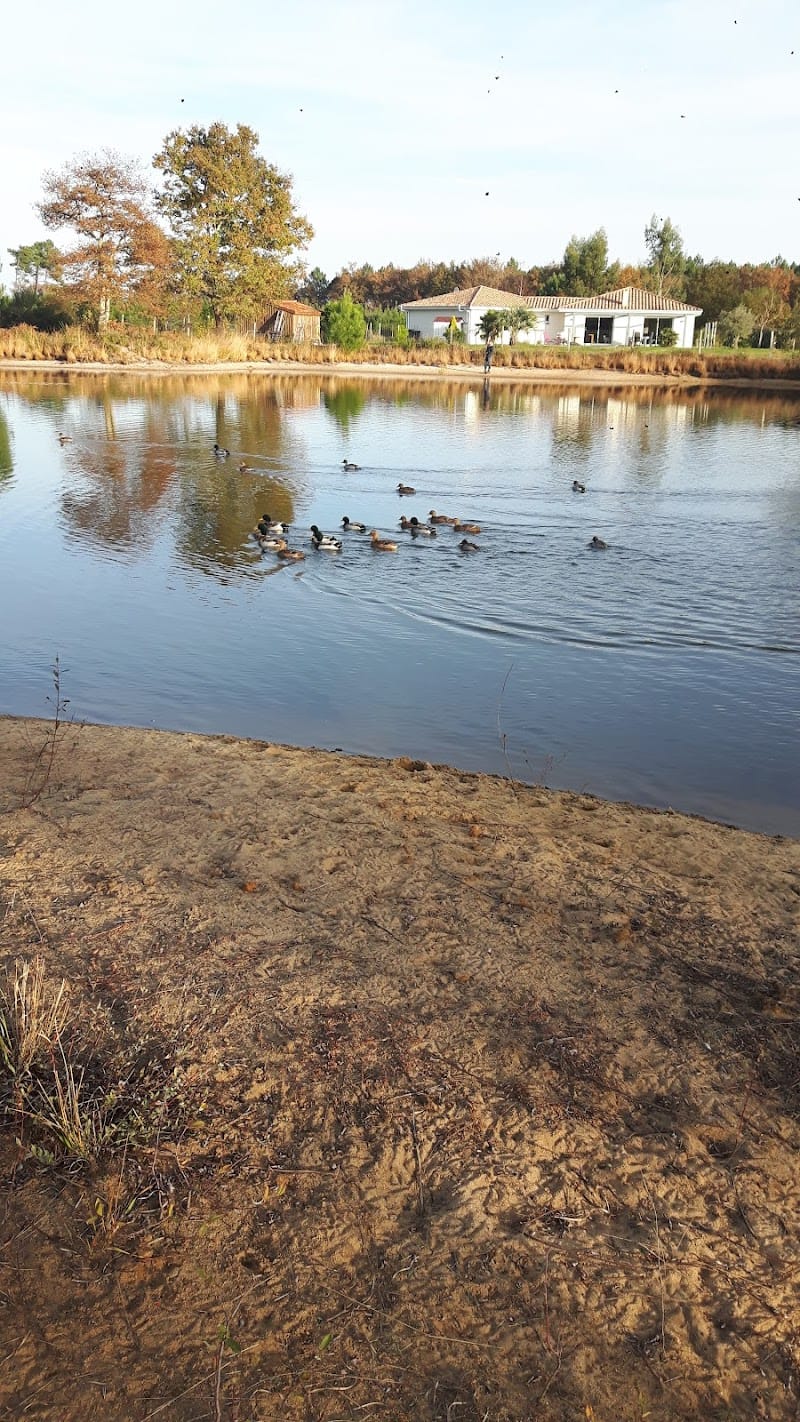 La Haille au Loup — dogsitter à Gujan-Mestras