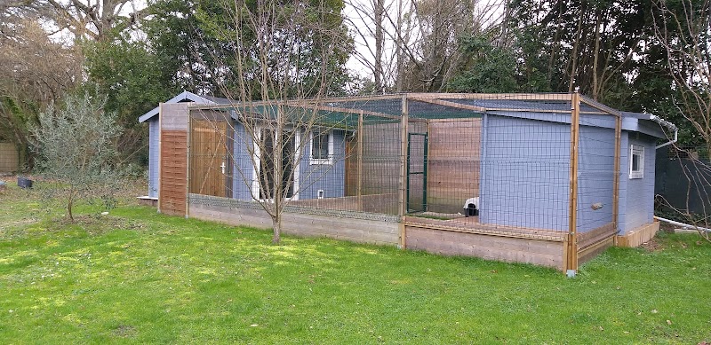 La Maison de Vacances des Pitounettes — dogsitter à Bordeaux