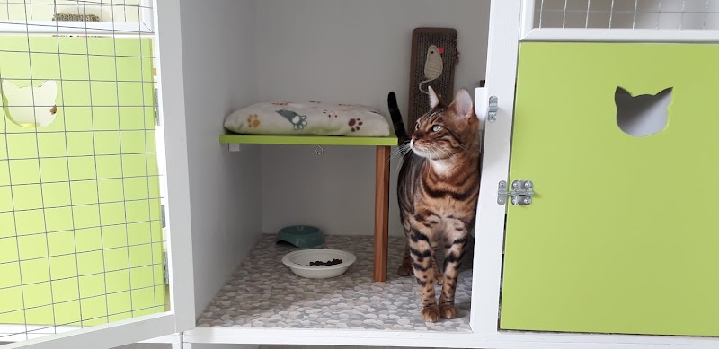 La Pension Atrébate — dogsitter à Arras