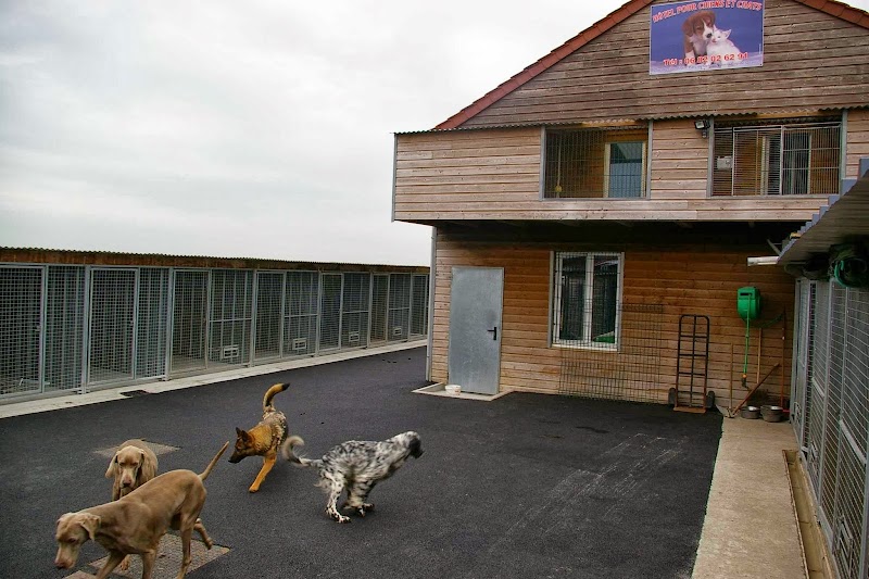 La Pension chiens chats du Val de Sambre — dogsitter à Maubeuge
