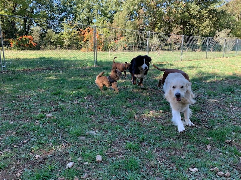 La pension de Croc’Baron — dogsitter à La Crau