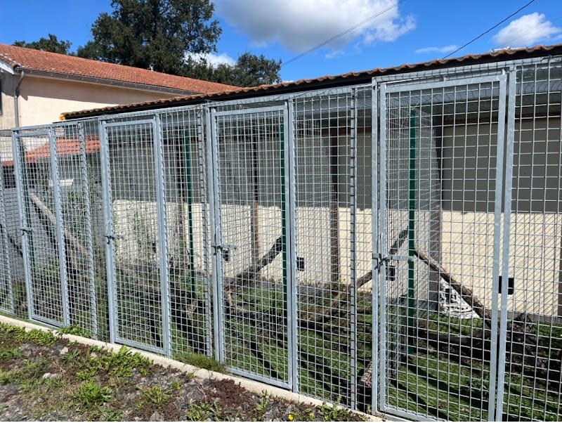 La Pension Des Amis Cyriens — dogsitter à Andrézieux-Bouthéon