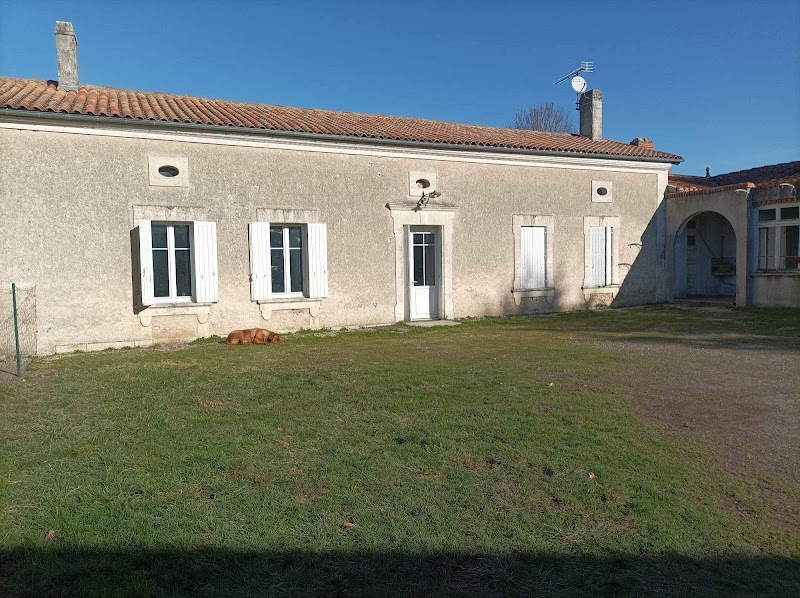 La récré o'poil — dogsitter à Roullet-Saint-Estèphe