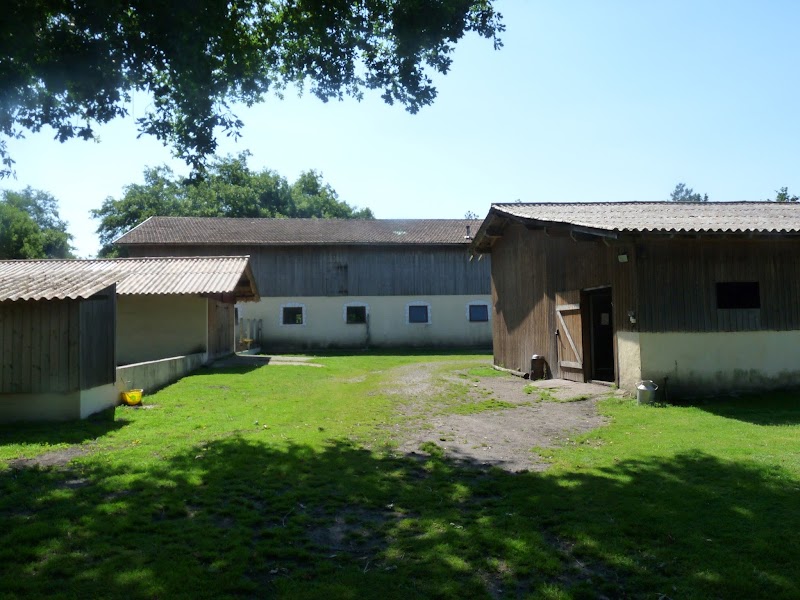 Lalande Gérard — dogsitter à Mios