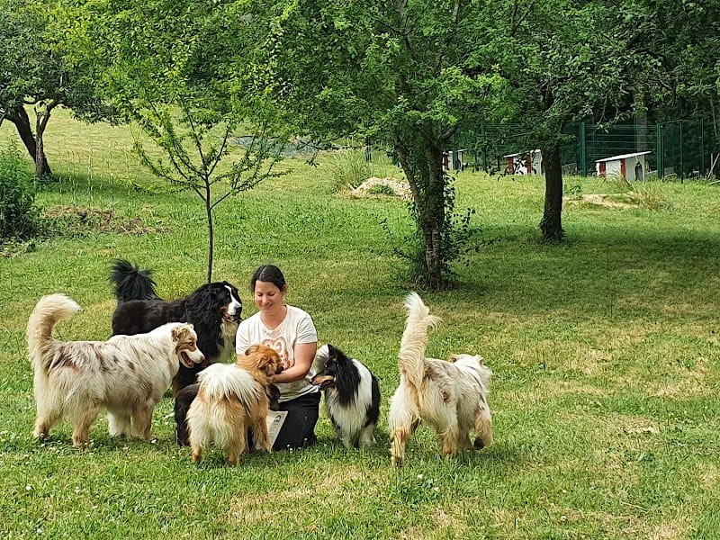 Le Chalet des 4 pattes du Lary — dogsitter à Montendre