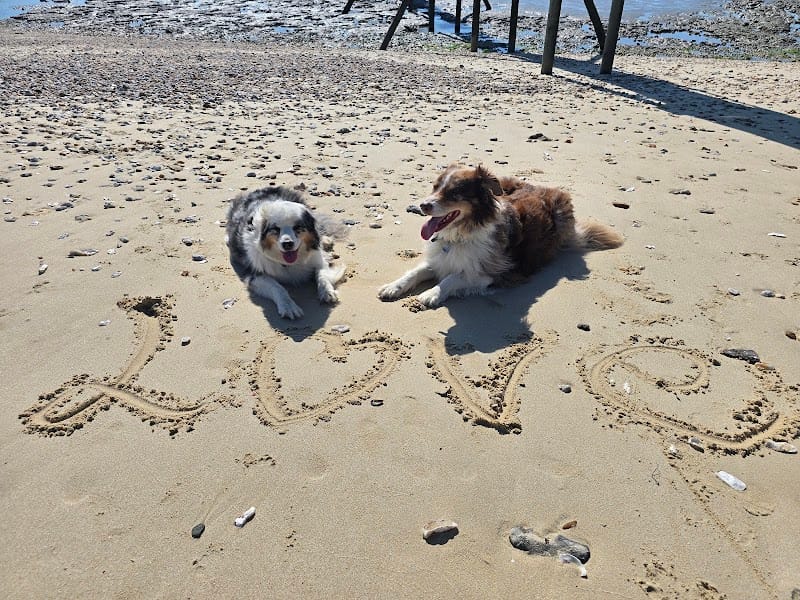 Le clan des câlins — dogsitter à Machecoul-Saint-Même