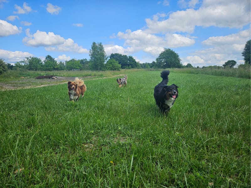 Le Clos de la Truffe — dogsitter à Charleville-Mézières