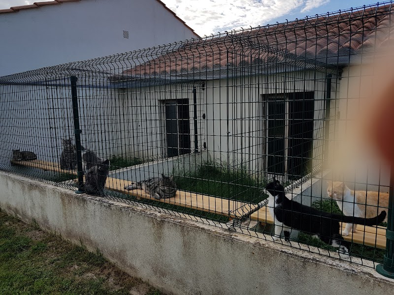 Le Clos Jennyfer — dogsitter à Pamiers