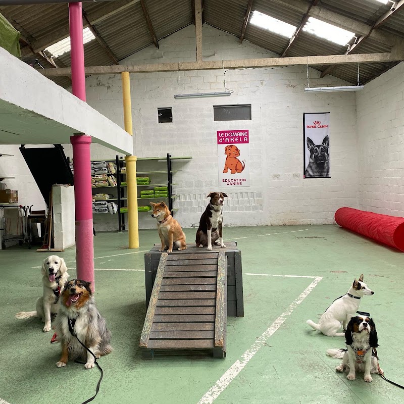 Le Domaine d’Akela — dogsitter à Cambrai