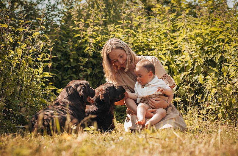 Le domaine de maya — dogsitter à Blendecques