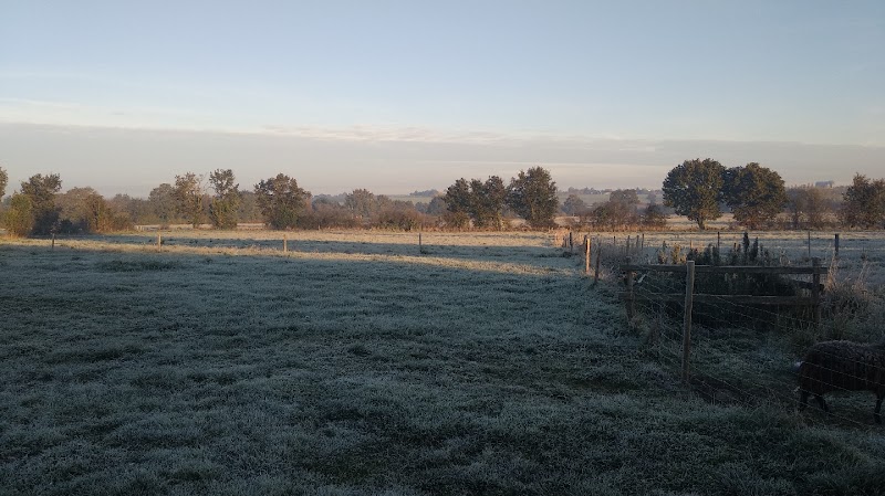 Le Domaine de Touffu — dogsitter à Ombrée d'Anjou