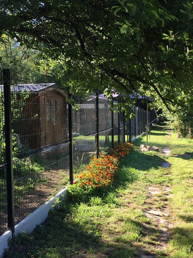 LE GITE DES 4 PATTES — dogsitter à Douai