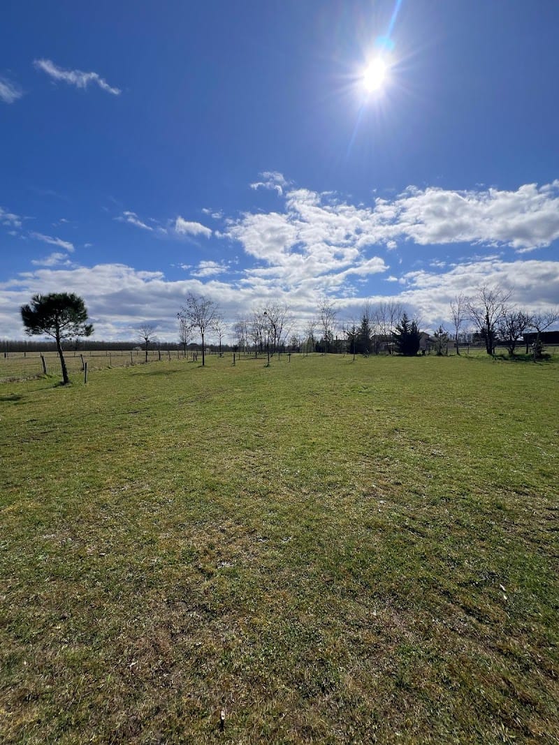 Le Jardin Canin - Garderie canine du Beaujolais — dogsitter à Villefranche-sur-Saône