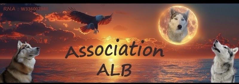 Le Loup Blanc — dogsitter à La Teste-de-Buch