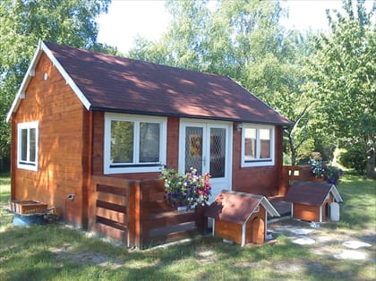 Le village des chiens d'Iza — dogsitter à Val de Virvée