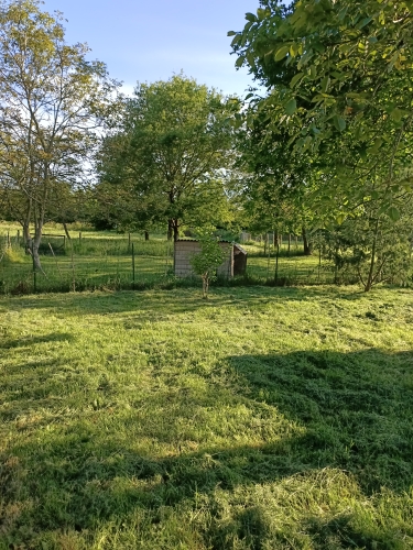 Les chalets des elfes — dogsitter à Ploërmel