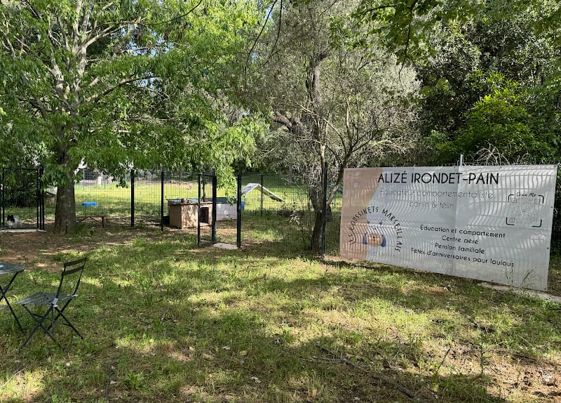 Les Coussinets Marseillais - centre aéré et d'éducation, évènements canins — dogsitter à Marseille