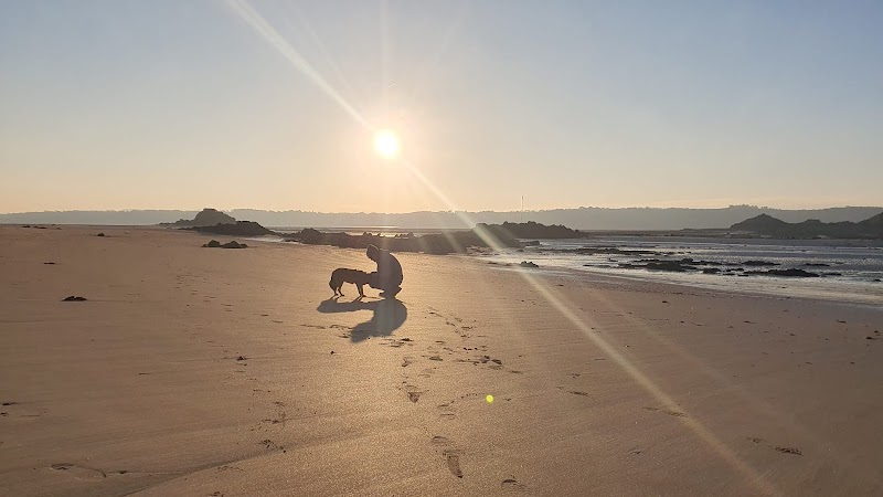 Les Echappées Canines — dogsitter à Saint-Malo