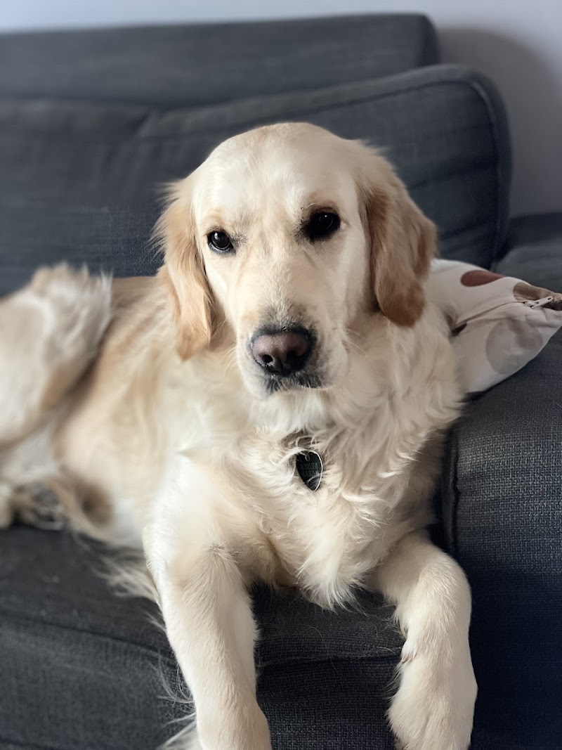 Les jardins de Vesco — dogsitter à Maubeuge