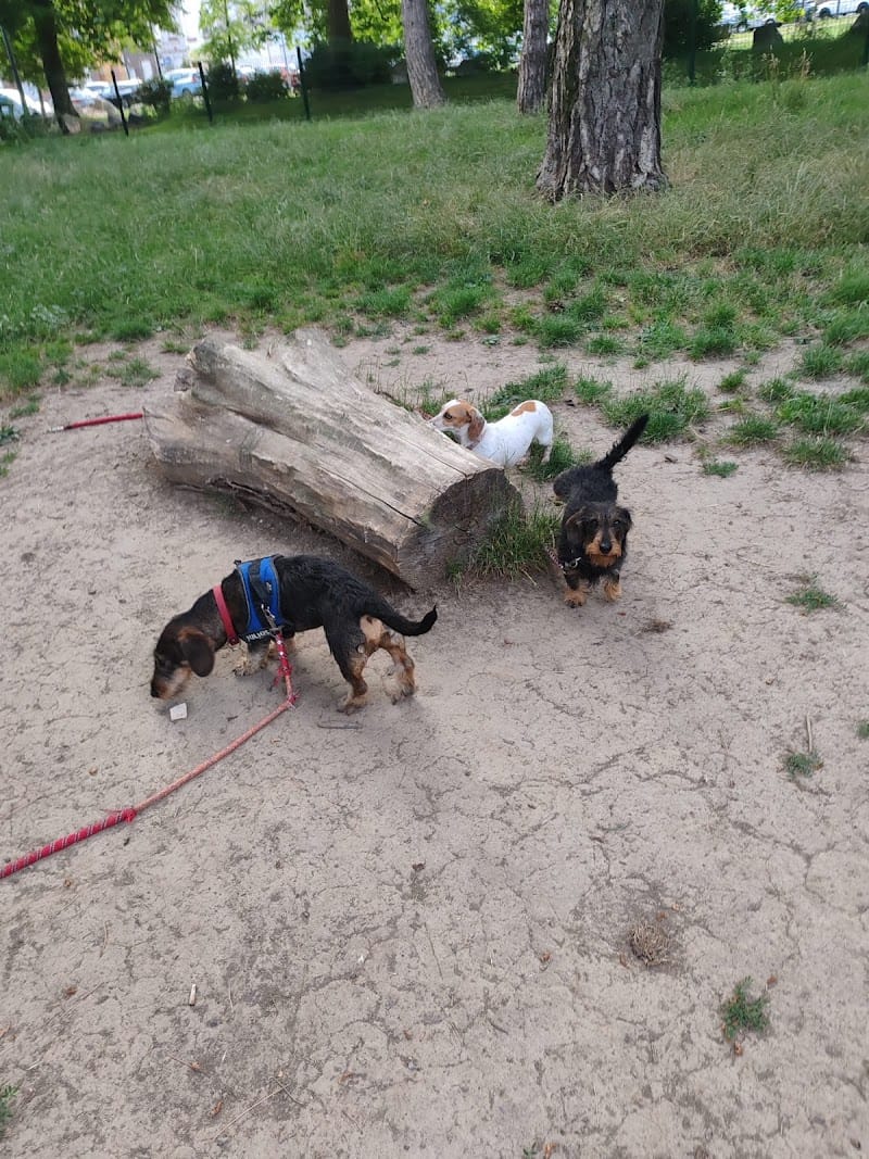 Les Joyeux Museaux | Pension et garderie Canine — dogsitter à Lille