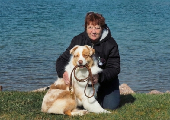 Les Pattes à Dom' - Pet sitting & visites à domicile pour chiens et chats — dogsitter à Lézignan-Corbières