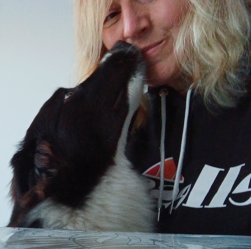 Les Pattes Câlines — dogsitter à Bédarieux