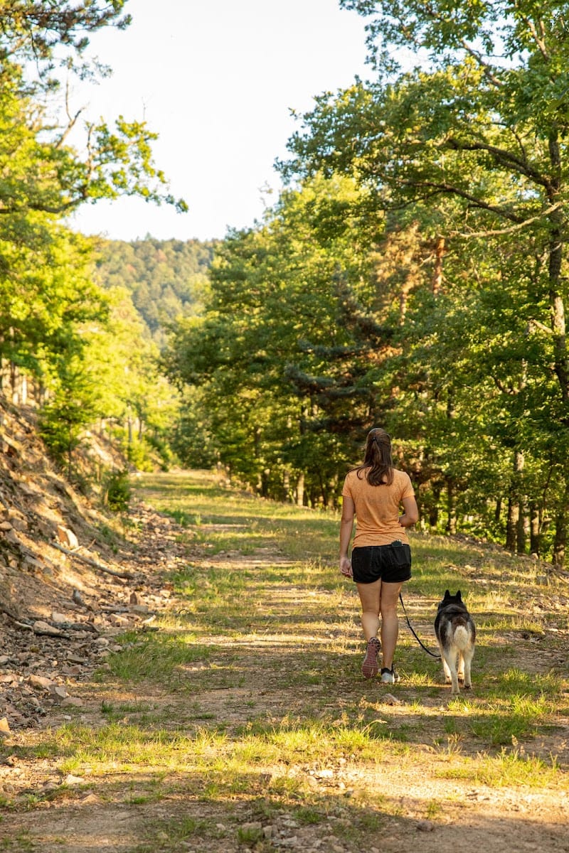 Les pattes exploratrices - Emilie FEVRE — dogsitter à Colmar
