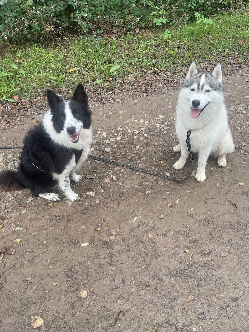 Les Truffes Narbonnaises — dogsitter à Narbonne