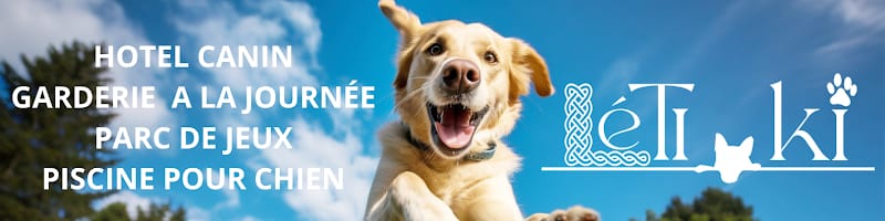 LETI KI — dogsitter à Montfort-sur-Meu