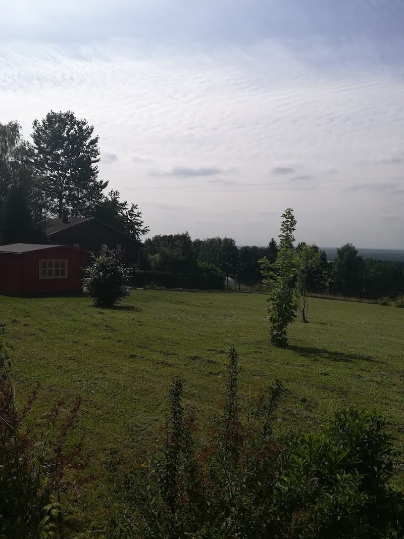 LIBERTY DOGS — dogsitter à Sarrebourg