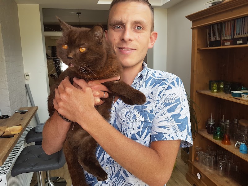 Looping ...&... Oups — dogsitter à Valenciennes