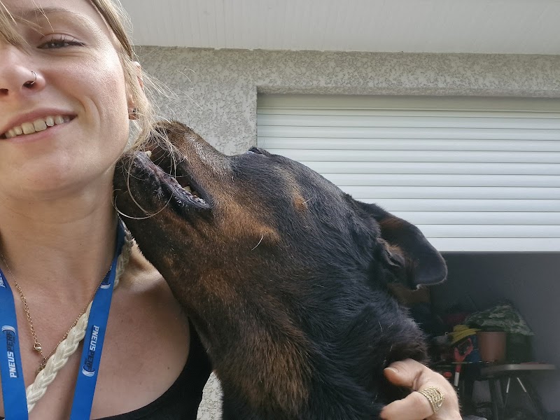 Luckyday - Médiation animale, garde d'animaux et ateliers créatifs — dogsitter à Toulouse