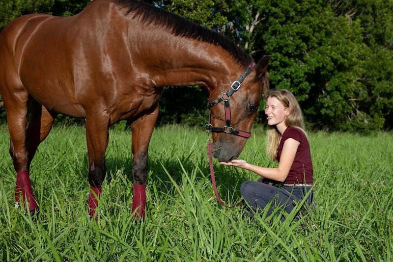 Manon Millot - Co'équi'pattes — dogsitter à Vannes