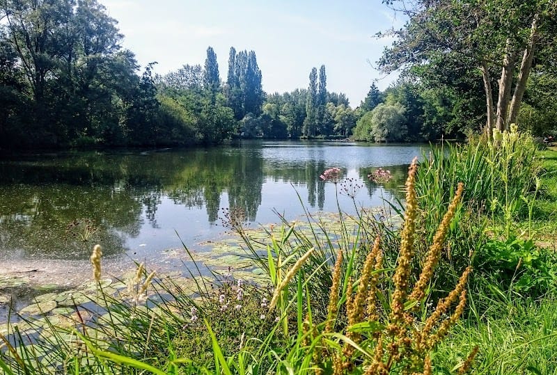 Marais de Biache-Saint-Vaast — dogsitter à Lens